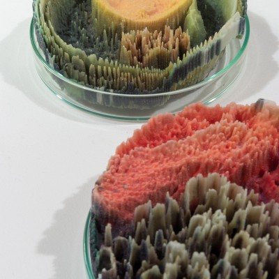 Red, green, yellow, and brown organic material in glass container plates with vertical shapes in different heights.
