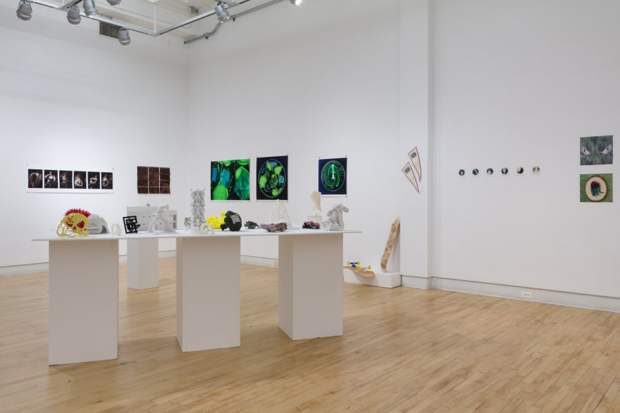Installation view of organically shaped sculptures displayed ion stands, and arrays of prints with bacteria paintings in green