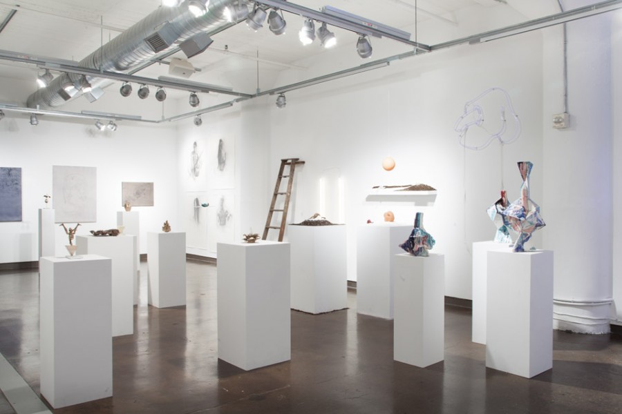 Installation view of sculptures with organing rounded shapes, made from organic materials and displayed on stands and shelves