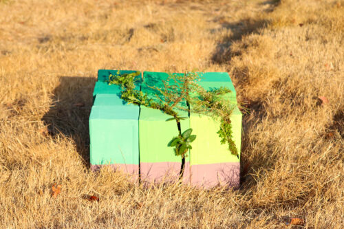 A three dimensional grid of cardboard boxes painted different shades of matte green, yellow, and pink in a field of brown grass topped lines of living plants.