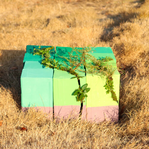 A three dimensional grid of cardboard boxes painted different shades of matte green, yellow, and pink in a field of brown grass topped lines of living plants.