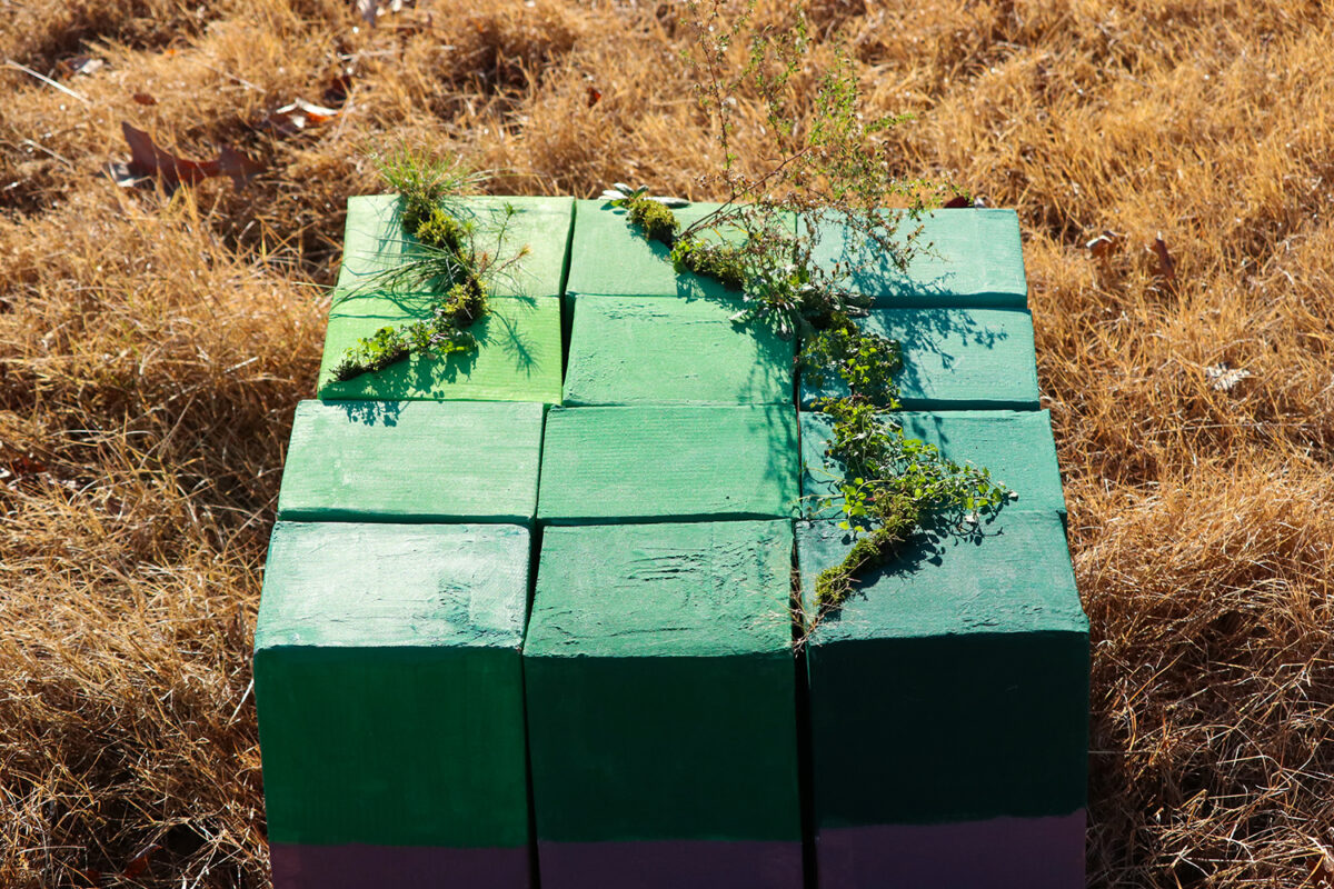 A three dimensional grid of cardboard boxes painted different shades of matte green in a field of brown grass topped lines of living plants.