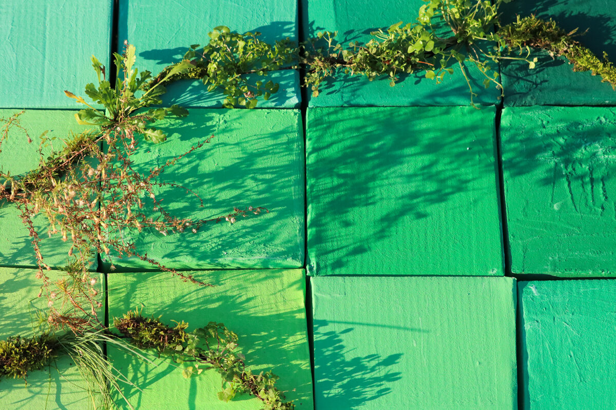 A three dimensional grid of cardboard boxes painted different shades of matte green in a field of brown grass topped lines of living plants. (Detail)