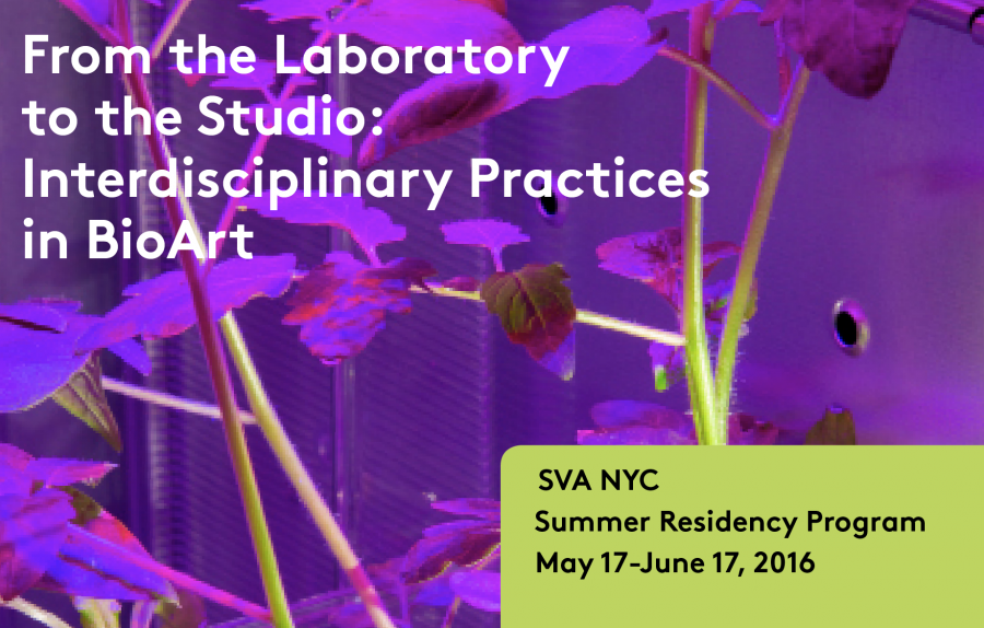 A poster for the event From the Laboratory to the Studio: Interdisciplinary Practices in BioArt. The event will be held at SVA NY, Summer Residency Program, from May 17-June 17, 2016. The poster represents a picture of a green plant illuminated with a UV light from the left side