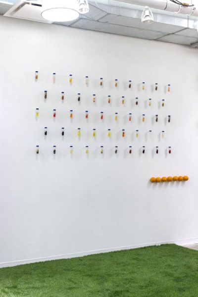 Installation view of forty-eight lab tubes closed with caps containing red, blue, orange, organic materials, installed on the wall, under the grid is installed seven orange balls in a horizontal line. The floor is made of a green synthetic grass