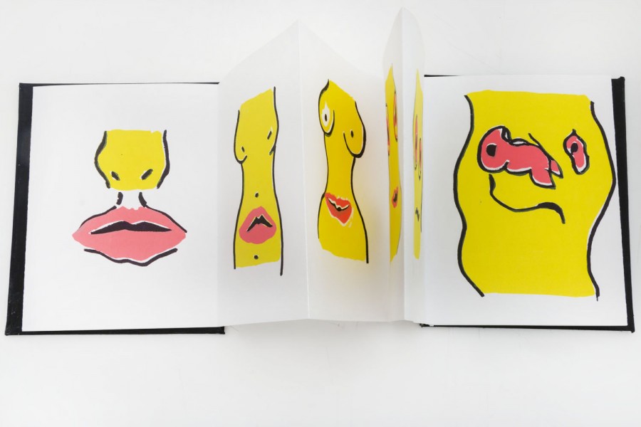 A brochure representing red lips, and yellow body parts of a female body