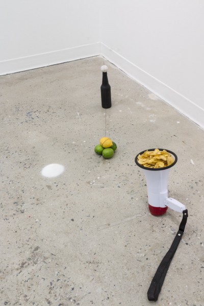 A dark-colored glass bottle, three limes and a lemon, potato chips on a speaking tube, and a small white organic material on the floor.