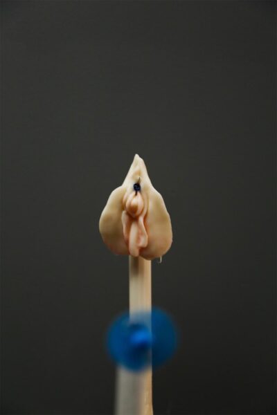 A detail view of a sculpture by Sohyoung Park titled "Happy Wife" showing a 3D printed vulva mounted on a stick with a small blue fan spinning on it midway up.