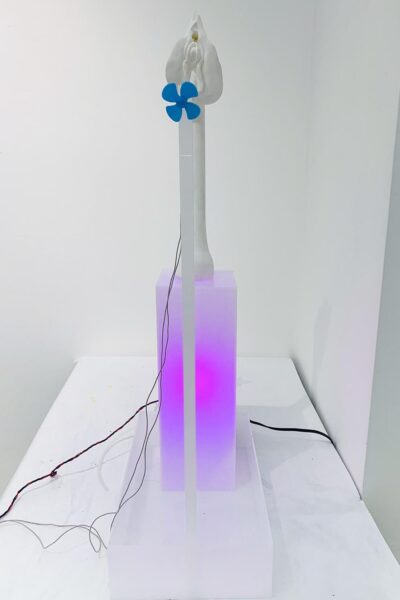 A sculpture by Sohyoung Park titled "Happy Wife" showing a white 3D printed vulva at the top of a white post on top of a rectangular pink light. A small blue fan is mounted on a skinny white post in front.