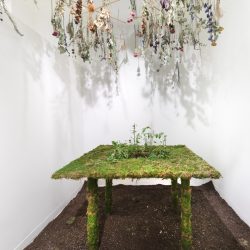 Artwork by Sydney Kaye. Installation including a table covered in moss, soil floor, and dried plants hanging from the ceiling.
