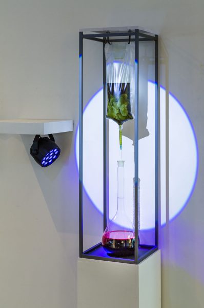 Sculpture of an IV bag filled with black liquid and green leaves, with a syringe filled with chartreuse liquid and a blue tip with a needle pointing down into a long necked glass beaker will with blood it all sits on a white pedestal framed by metal beams there is a projected blue circular light onto the middle of the sculpture against the wall.