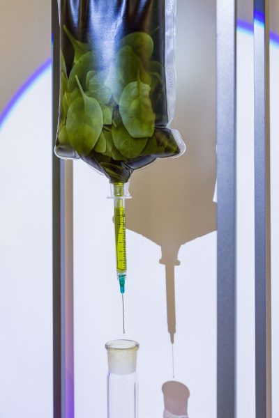 Sculpture with a hanging IV bag filled with black liquid and green leaves, connected to a syringe filled with chartreuse liquid with a blue tip and a needle pointing down towards a small narrow glass container, small metal beams are on the right and left side of the sculpture.