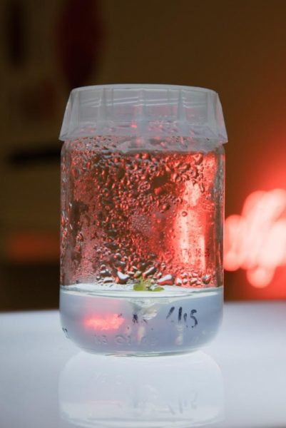 A jar with some liquid in it placed on a light table and a red neon behind on the wall