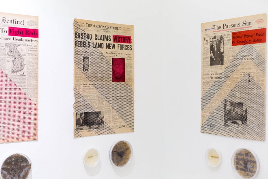 Three newspaper pages glued on a corner of the wall and under them are installed rounded recipients with insects and some organic materials