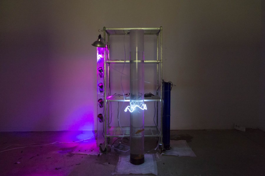 Installation view of sculpture made of metal shelf stand with a transparent tube on its left side illuminated with a purple light, a transparent tube placed in front of the rack has a white neon light modeled with rounded lines, and on the right, it has a smaller blue tube