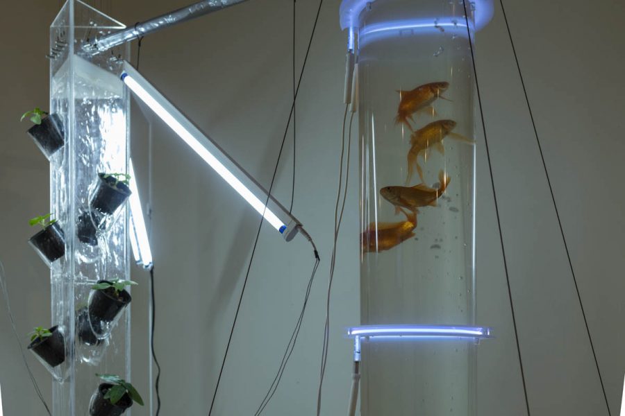 A tall triangular structure with support for plants in black pots with soil illuminated with a white neon on the left side, and on the right side is an unfocused part of a tube with water and goldfishes