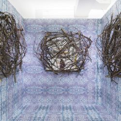 Installation where the walls are covered in psychedelic blue and purple wallpaper, with three wall pieces that are covered in tree branches on the left wall, middle wall, and right wall