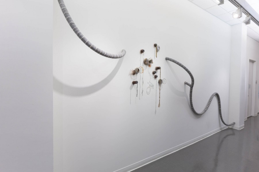 Installation of sculpture made with long rounded shaped hoses entering the wall, and different small organic shaped sculptures made of organic materials installed in the middle of the wall