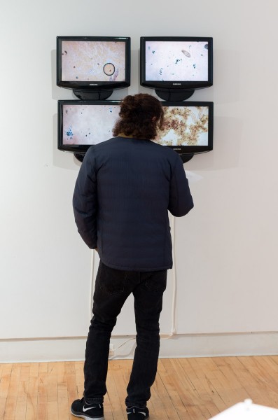 A person looks at four flat-screen TVs with images of bacteria.