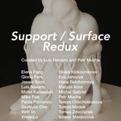 Poster advertisement for the exhibition "Support/Surface Redux". The poster shows a 3D artwork set against a black background. White text covers the image showing the exhibition title, artists, names, and gallery information