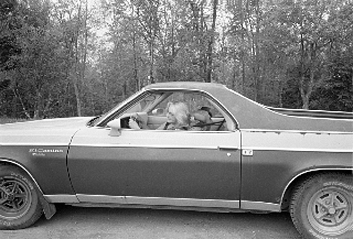 Shirley Irons driving a car