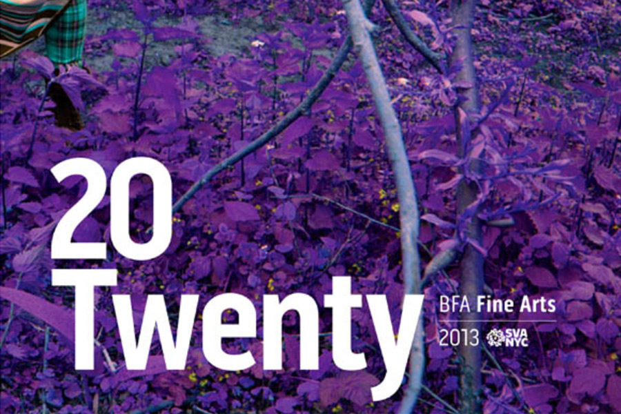 Details of the cover of the 20 Twenty catalog. White text over a purple background.
