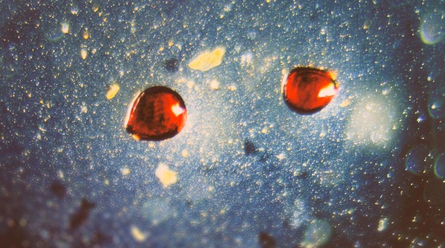 Two red gem like shapes on a blue background with white and yellow specks around, there is dark blue and black vignette on the corners