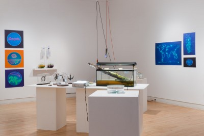 Installation view of an aquarium with a little bit of water in it, a piece of wood with a portion in water and covered in musk, prints of world's map on blue background and prints of bacteria paintings