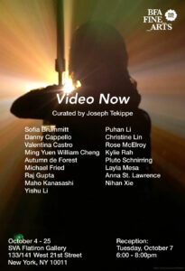 Opening Reception of "Video Now"